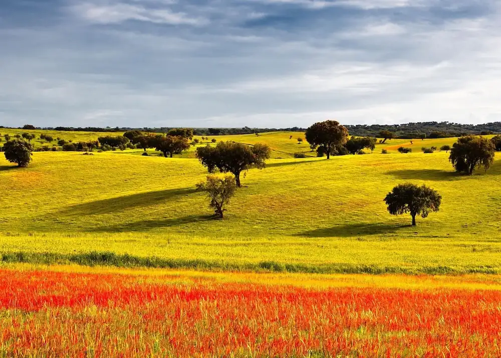 realembraceportugal-sephardic-route-tourcaption (4)