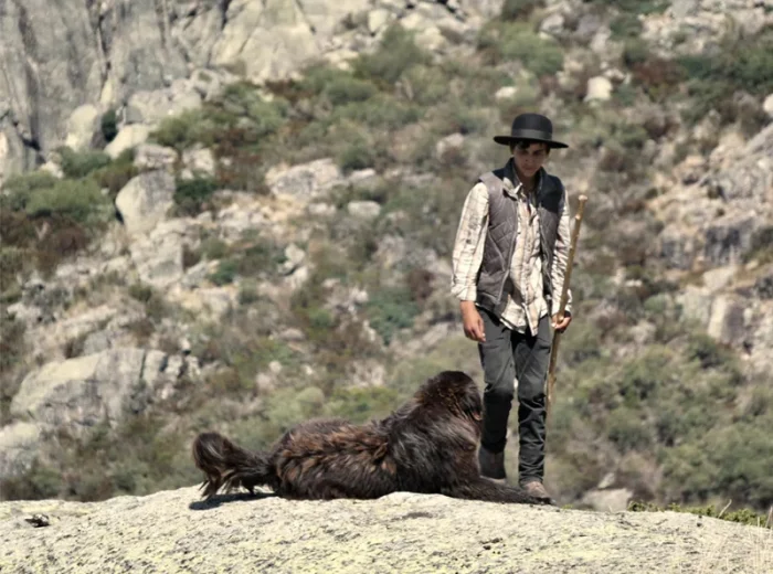 A typical shepherd and their dog in Portugal